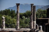 Villa Adriana - Edificio con criptoportico e peschiera 